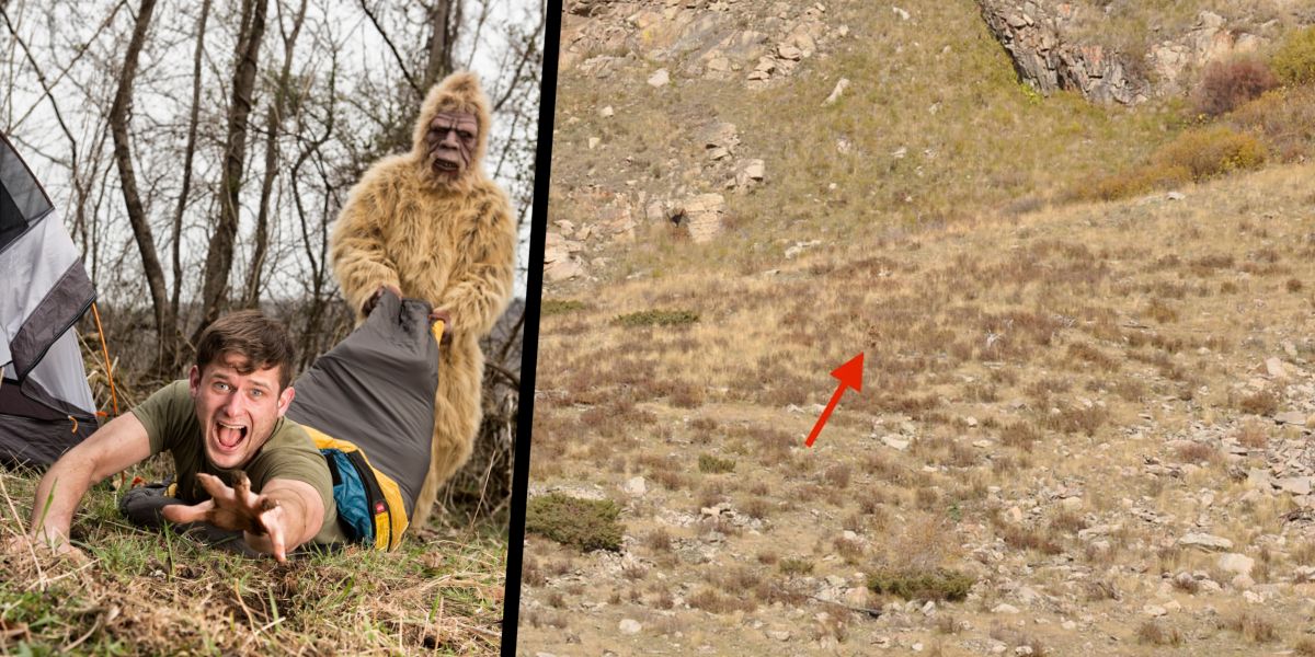 Bigfoot 'spotted' in Colorado in broad daylight — see the video