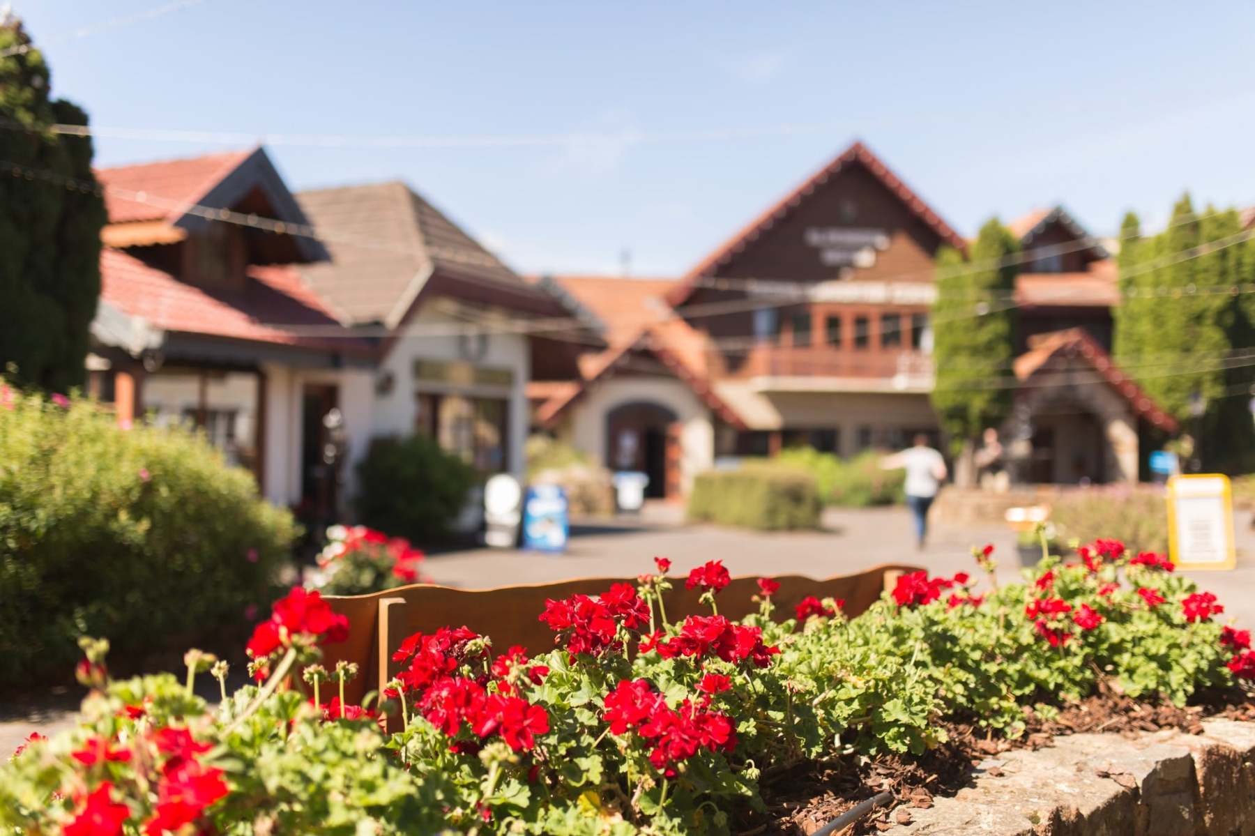 Tamar Valley Resort